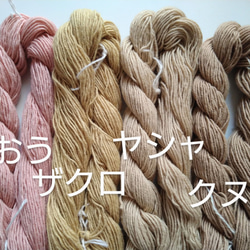 刺し子糸、編み物、織物にも♪草木染め　草木染め糸　使いやすい淡い色セット　綿　コットン 2枚目の画像