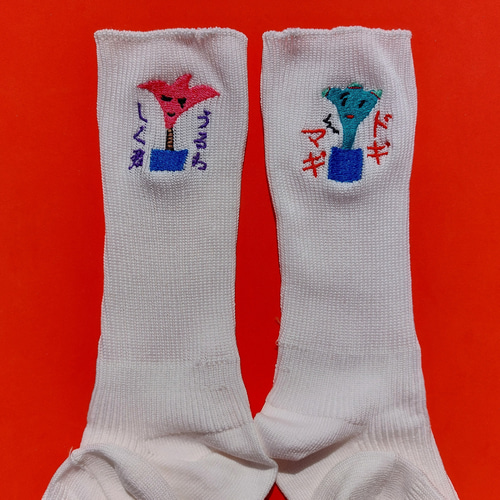 うるわしく君 リブ ソックス 刺繍 白 靴下 レディース 日本語 面白い 