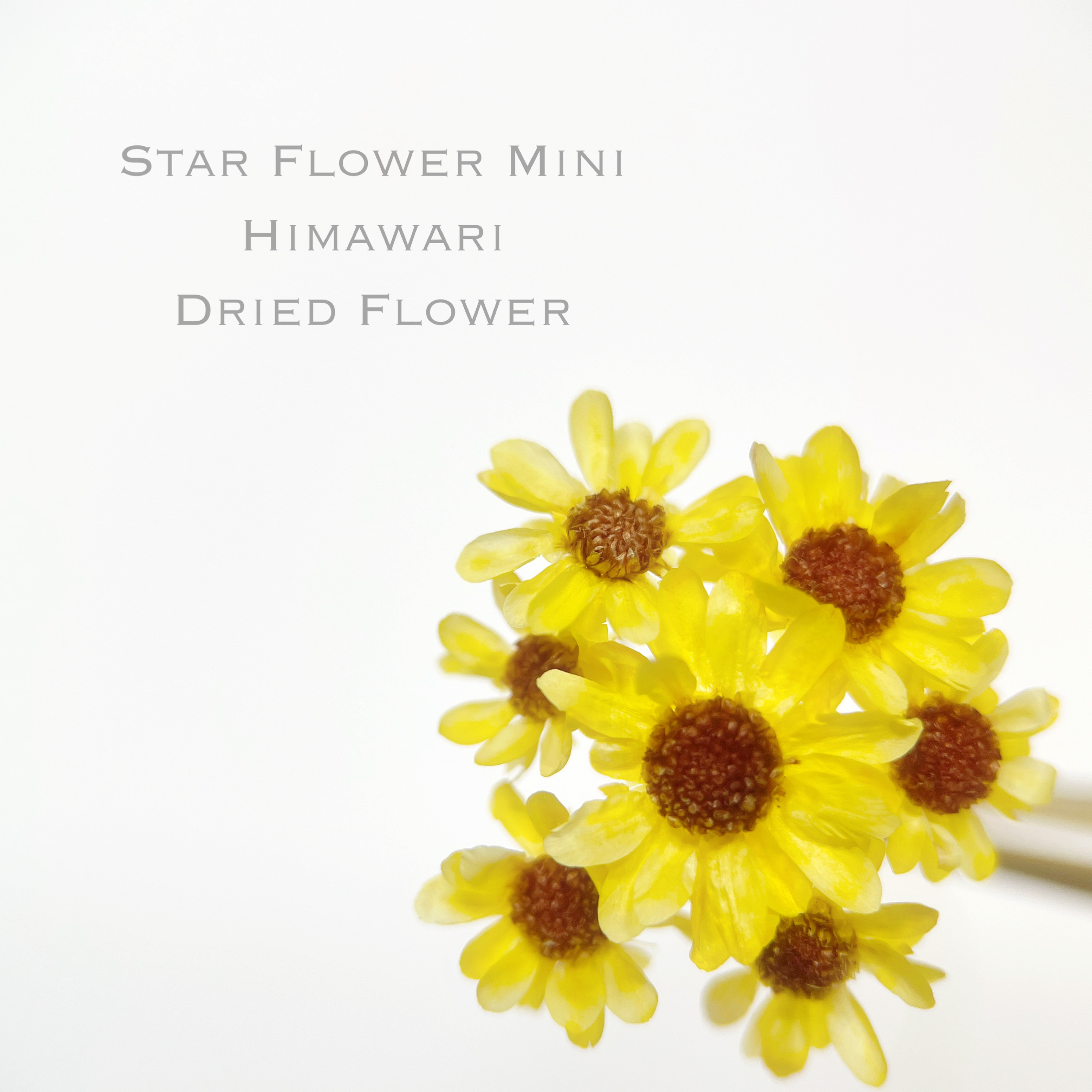 K IＲAＲA shop...♡様スターフラワーミニ240本、ひまわり風×5 K IRARA shop♡様スターフラワーミニ240本、ひまわり風×5