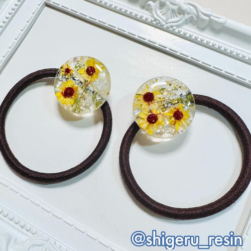 ドライフラワー 小さなひまわり ドライフラワー 小さなひまわり ひまわりのドライフラワー