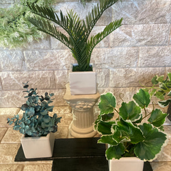 光触媒　人工観葉植物　ウォールグリーン　フェイクグリーン　3種四角白 3枚目の画像