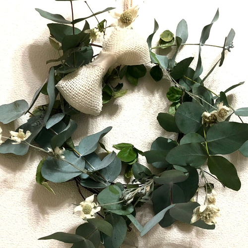 ❈ ユーカリ ❈ フレッシュ ❈ ドライ ❈ ドライフラワー 花材 即日出荷 ユーカリ・ドライ ショート