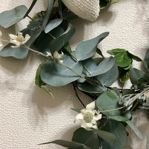 ドライフラワー ユーカリ ドライフラワーリース リース フレッシュ