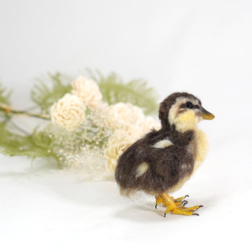 野鳥＊羊毛フェルト カルガモのひな 羊毛フェルト 森羊のクーシャ