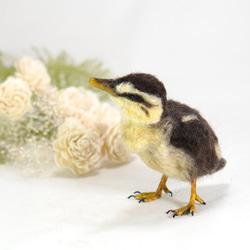 ＊野鳥＊羊毛フェルト カルガモのひな 2枚目の画像