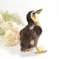 ＊野鳥＊羊毛フェルト カルガモのひな 4枚目の画像