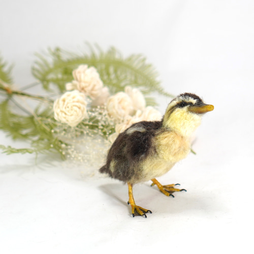 野鳥＊羊毛フェルト カルガモのひな 羊毛フェルト 森羊のクーシャ