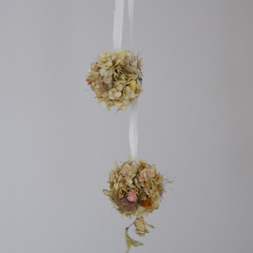 アナベルのドライフラワーボール☆フライングボール 【公式通販】