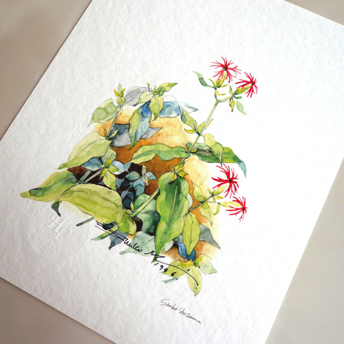 エビセンノウ 】 ORIGINAL GICLEE 水彩画を高級紙に印刷した鑑賞用絵画
