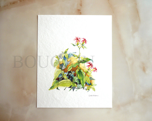 c3322b3614dd8e4a8741a3bd68bd18