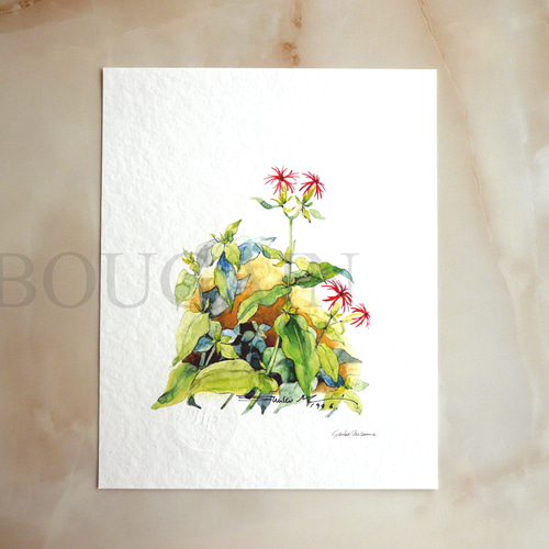 ヴィーヴィ・ケンパイネンの水彩画 ヴィーヴィ・ケンパイネンの水彩画