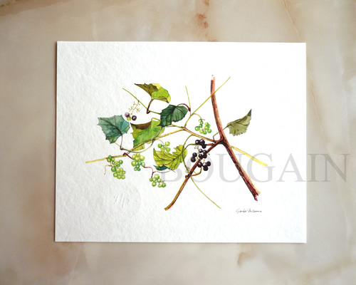 オーダーペイント　水彩画　エビネ ペット似顔絵オーダー 肖像画 水彩画 虹組限定デザイン 虹の花