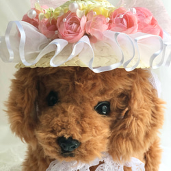 犬麦わら帽子≪フリルピンク≫　写真撮影　犬猫アクセサリー　トリミング　ヘッドアクセ　夏のお出かけ　誕生日 9枚目の画像