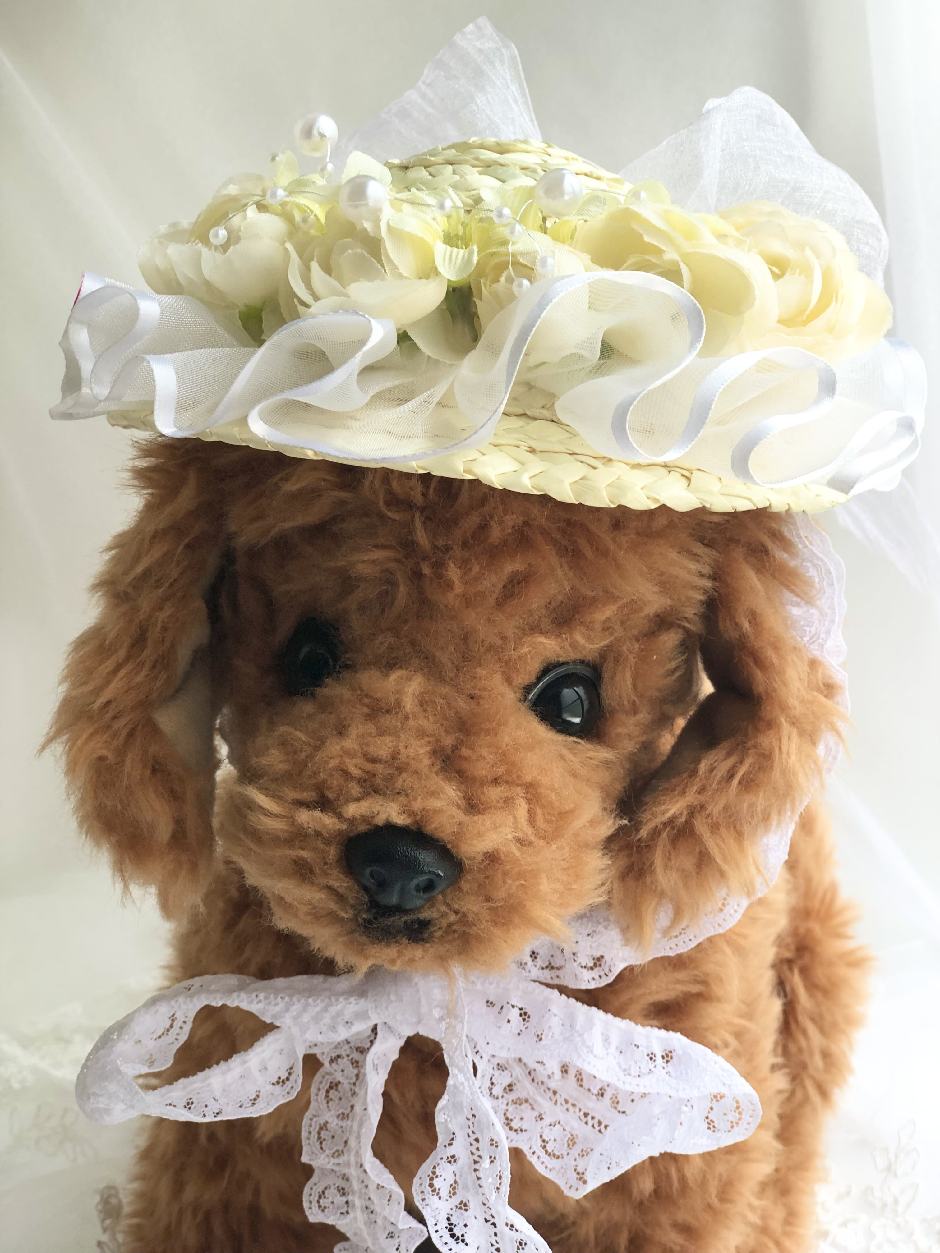 麦わら帽子Ꮮお好みカラー✗ホワイト犬・猫 プルメリア装飾❁handmade
