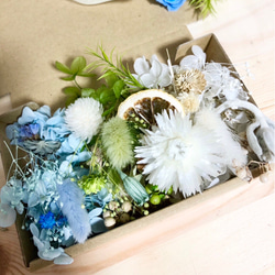 ラムズイヤー*ドライフラワー*70本 その他素材 FlowerCompanies 通販