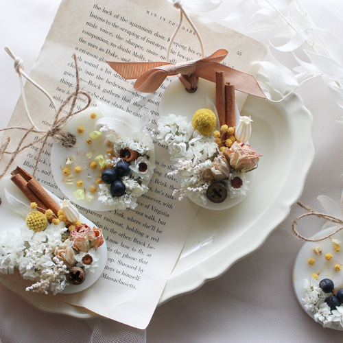 ルイ・イカール限定版・アールデコ/青いインコ、希少な額装用画集より