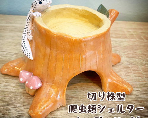 素焼き切り株シェルター付き!!自然の中の飼育箱➄ ハウス・小屋