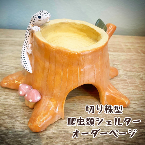 おとぎの国のチラハウス』☆チンチラハウス・チラつぼ☆S～M