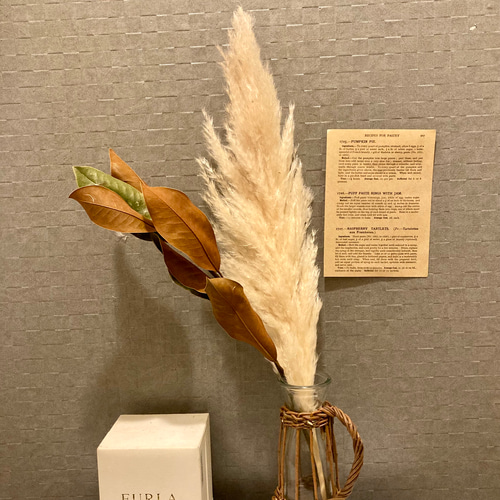 マグノリアバンチショート~ マグノリアリーフ ドライフラワー