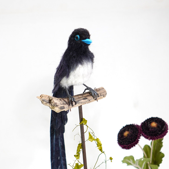 ＊野鳥＊羊毛フェルト サンコウチョウ 2枚目の画像