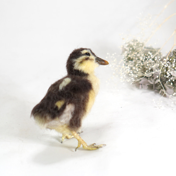 ＊野鳥＊羊毛フェルト オシドリのヒナ 5枚目の画像