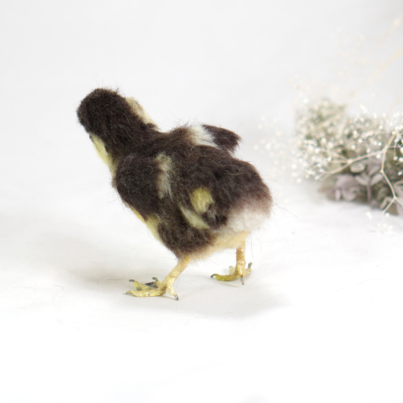 ＊野鳥＊羊毛フェルト オシドリのヒナ 4枚目の画像