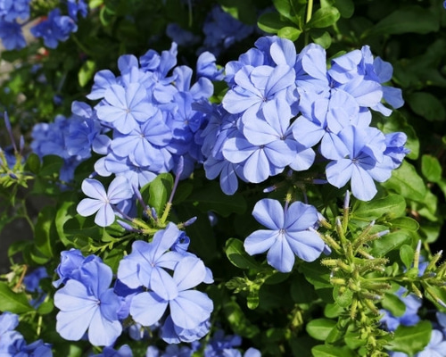 c75f97facc3d49040116c682a7f43b