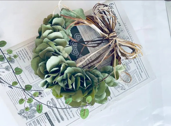 感謝価格＊オーガニックユーカリポポラスのお部屋に馴染むナチュラル