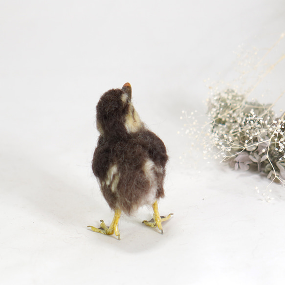 ＊野鳥＊羊毛フェルト オシドリのヒナ 4枚目の画像