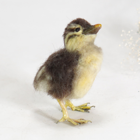 ＊野鳥＊羊毛フェルト オシドリのヒナ 1枚目の画像