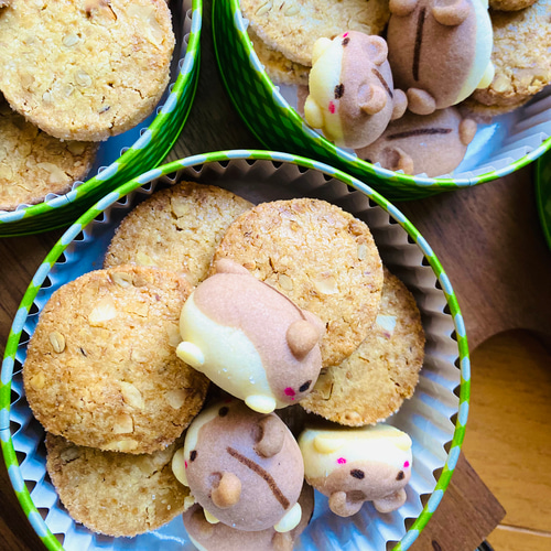期間限定】ハムちゃんクッキー缶 クッキー Kozue-Sweets 通販