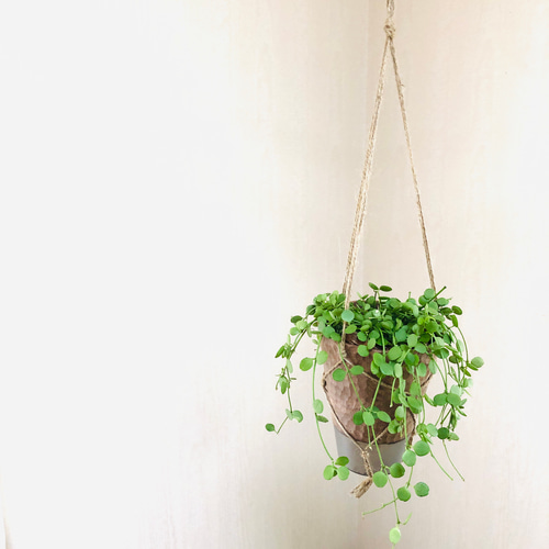 パステル植木鉢♡ハート飾り確認