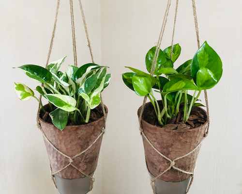 9051625691f105ecdef2ed52ae2ea3