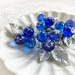 夜空色ブルーベリーブローチ(blueberry brooch/フェイクフード/フェイクスイーツ) 1枚目の画像