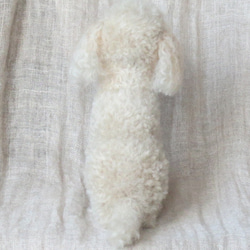 ポンポン犬　(トイプードル）Aさまご依頼品 6枚目の画像
