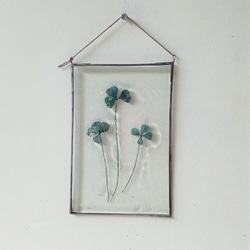 「Botanical Card/緑の四つ葉クローバー」ガラス　植物標本　オーナメント 1枚目の画像