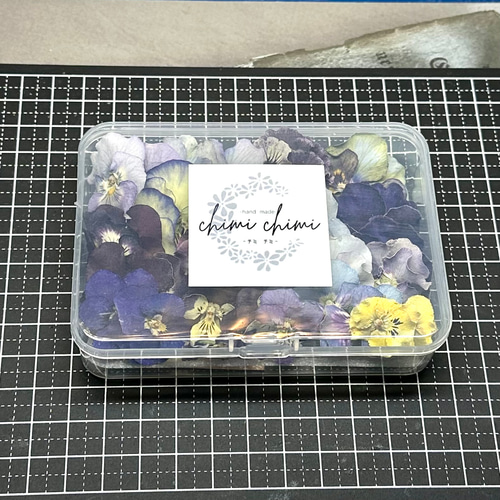 newフリルビオラとビオラのお花畑 その他素材 handmade Chimi Chimi