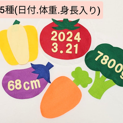 ハーフバースデー用装飾小物 ハーフバースデー　6ヶ月　マヨネーズ衣装 5枚目の画像