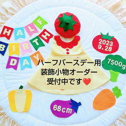 ハーフバースデー用装飾小物 ハーフバースデー　6ヶ月　マヨネーズ衣装 1枚目の画像