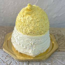 オカメインコの立体ケーキ　誕生日　記念日　インコ　ケーキ　[ご希望のお届け日・時間帯をご指定ください] 3枚目の画像