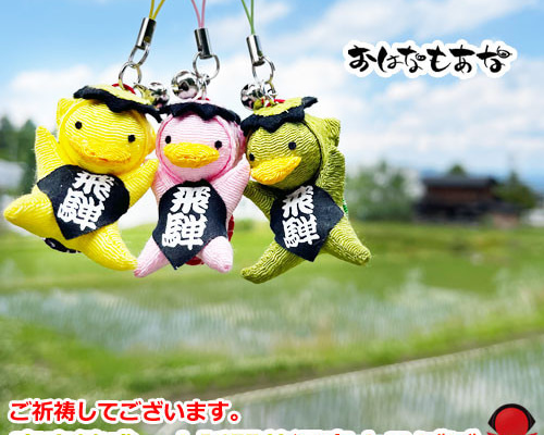 2afc921b60224e41ffbac990a64c35