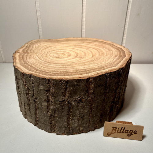 イチョウの切り株作業台 Lサイズ その他インテリア雑貨 B illage 通販