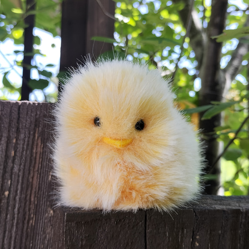 手のひらに、生きてるみたいな命の重み・重さ約50グラム【ふわふわの