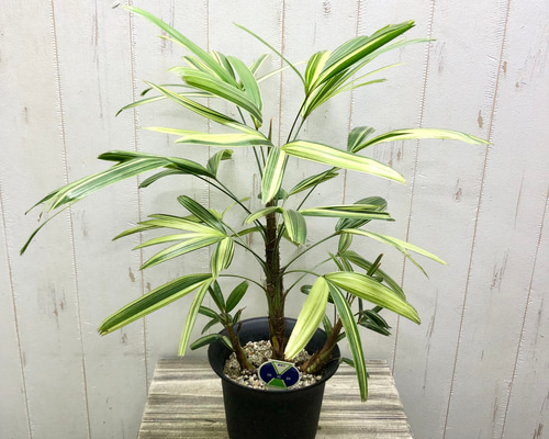 375463d617477e751264262420c69d