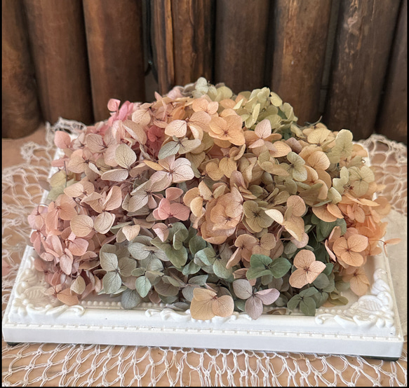 珍色アナベルアジサイ小分け❣️ハンドメイド花材プリザーブドフラワー 1枚目の画像