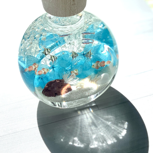 翌日発送】夏の海底ハーバリウム 熱帯魚 晴れやかブルー2024 ハー