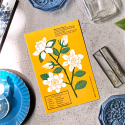 White Flower Postcard -SUMMER- / 活版印刷 3枚目の画像