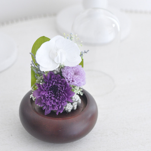 稀有なプリザーブドフラワー胡蝶蘭の仏花、お供え花／ガラスドーム付き