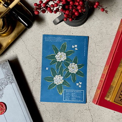 White Flower Postcard -WINTER- / 活版印刷 4枚目の画像