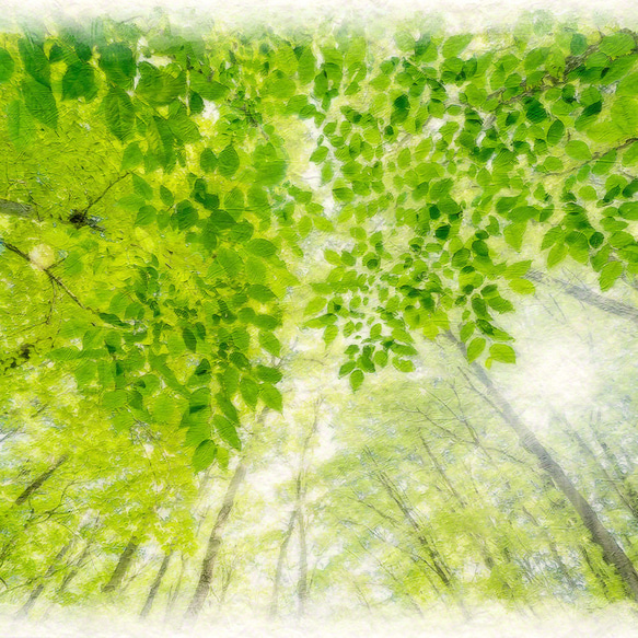 和紙の絵写真 額縁付き 「太陽と新緑の雑木林と若葉」 絵画 インテリア 玄関 風水 絵 風景画 版画 油絵 3枚目の画像
